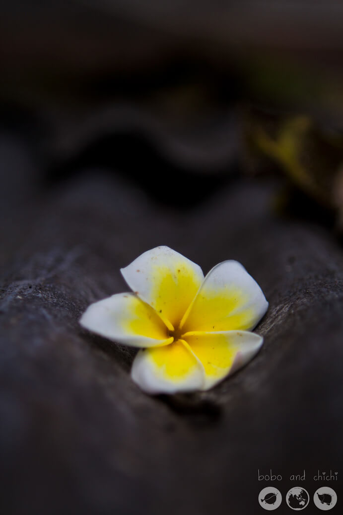 Ubud Bali