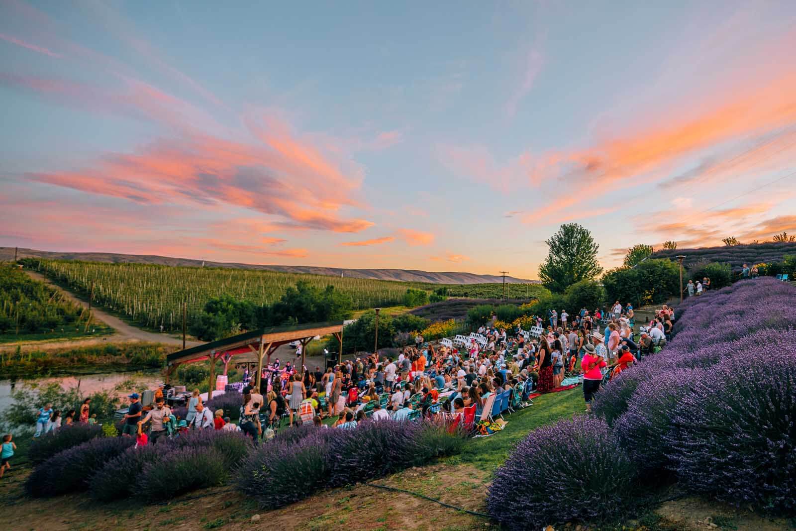 Concert at Hackett Ranch with Gilbert Cellars