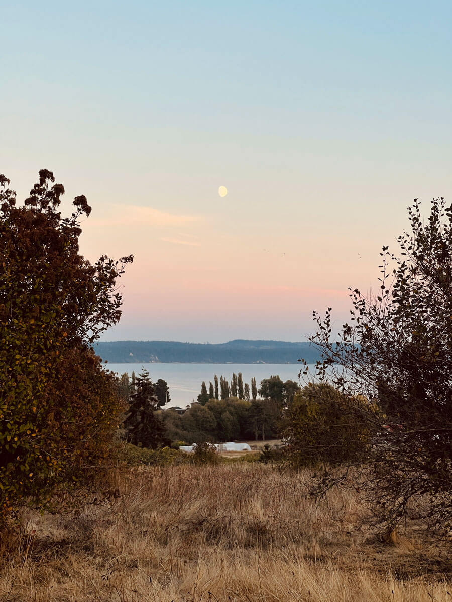 Toby's Tavern - Whidbey and Camano Islands