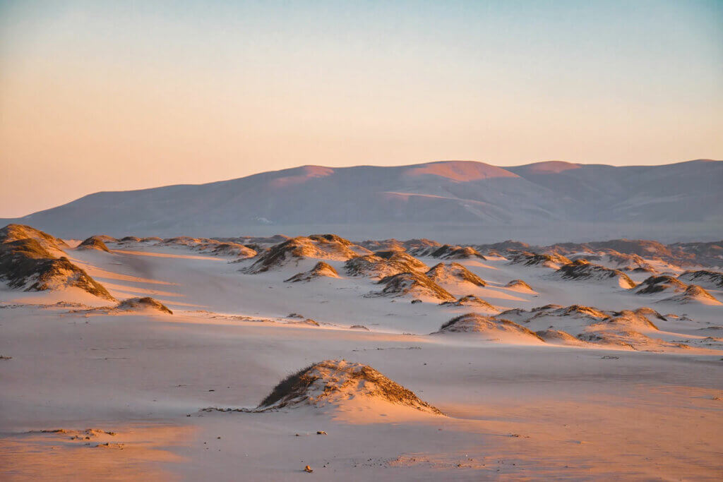 Guadalupe-Nipomo-Dunes-Wildlife-Refuge-in-Central-California