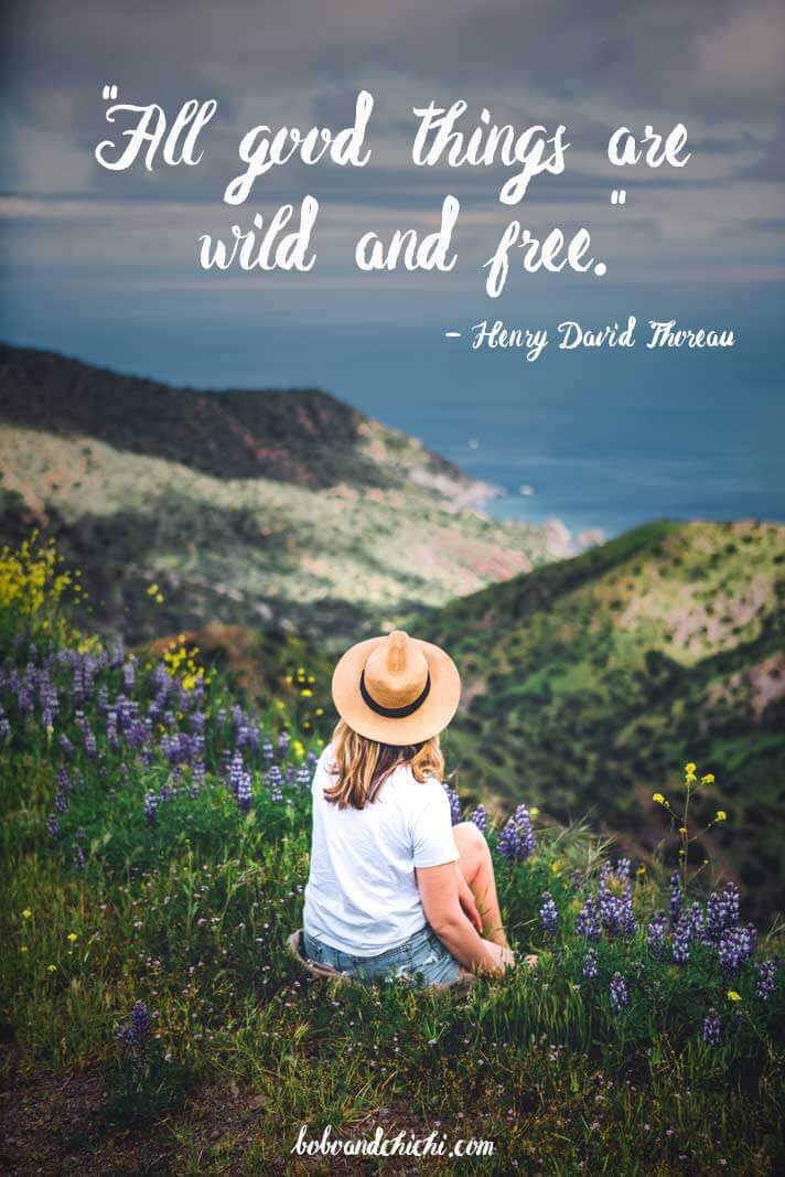 Henry-David-Thoreau-travel-quotes