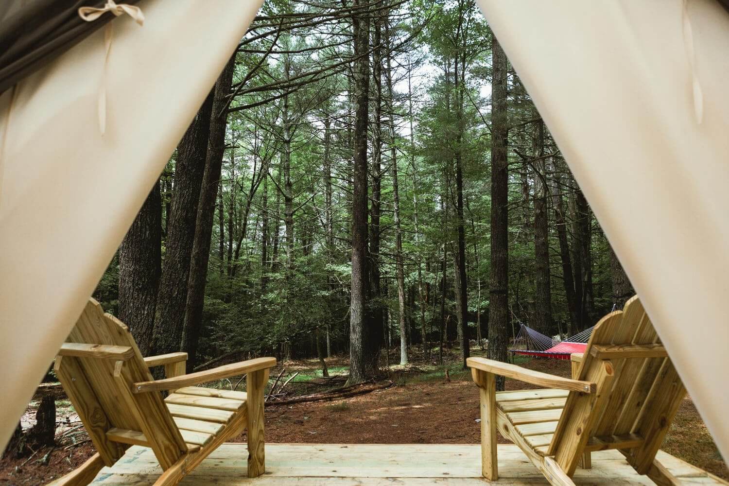 Highwoods in Kingston Woodstock New York Glamping