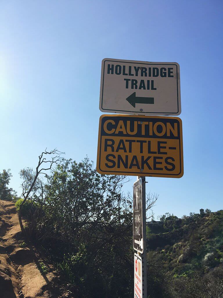 Holly Ridge Trail