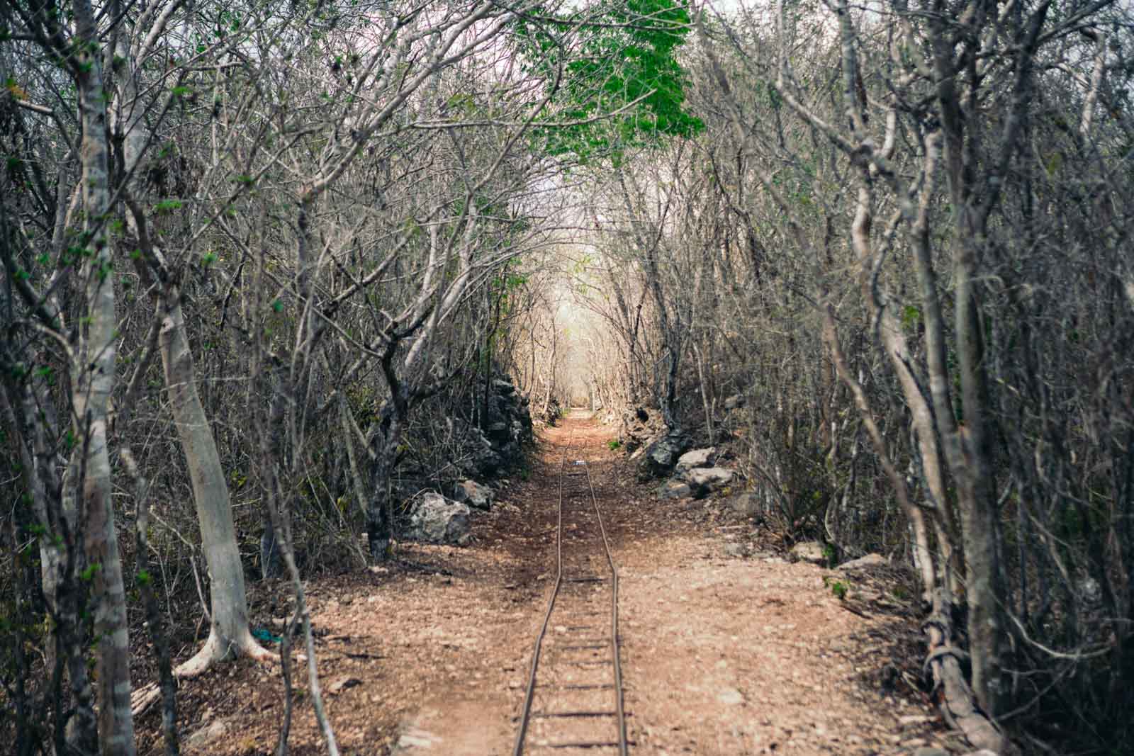 Horse buggy track at the Xtojil Cenotes in Cuzama