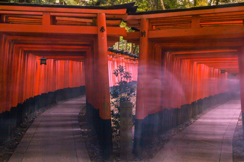 Fushimi Inari Tori Gates