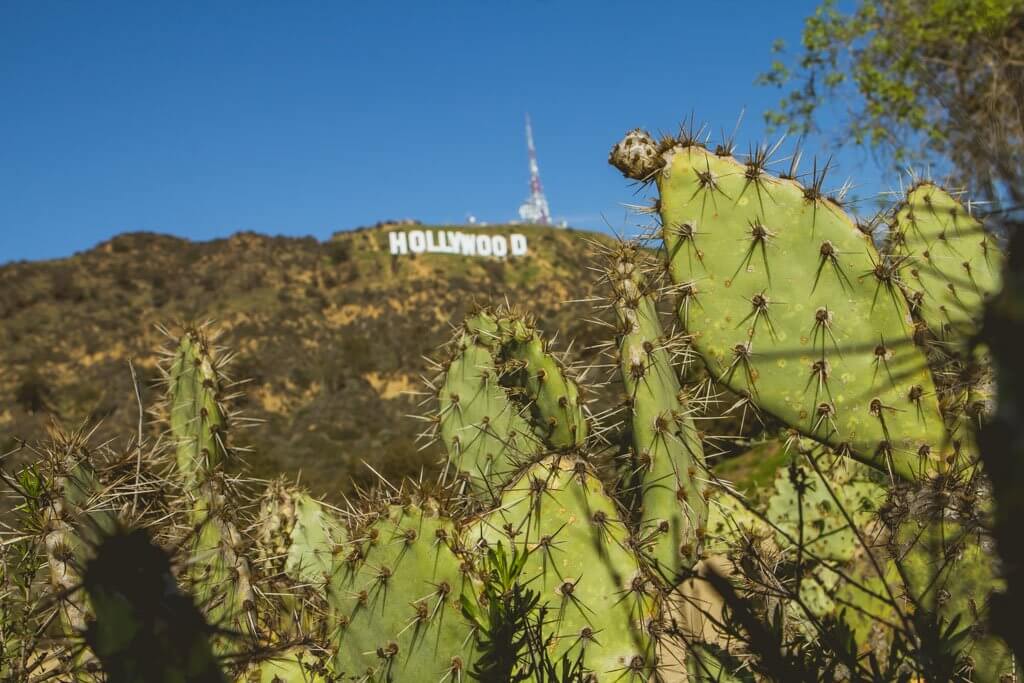 Hollywood Sign from Lake Park