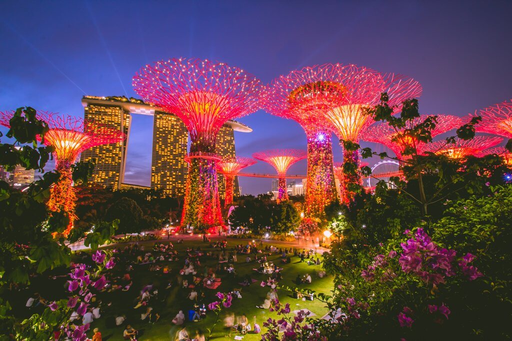 A photo of gardens by the bay at night all lit up with a crowd watching.