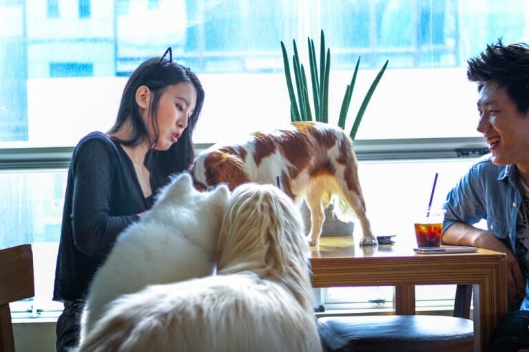 Romantic Things to do in Seoul