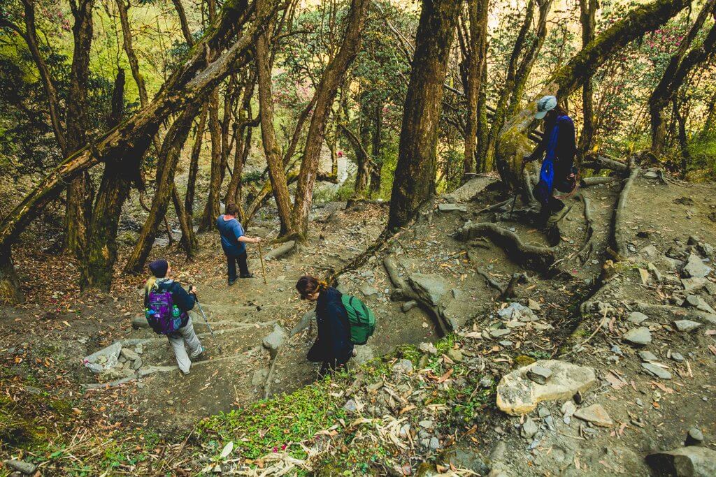 Poon Hill Trek