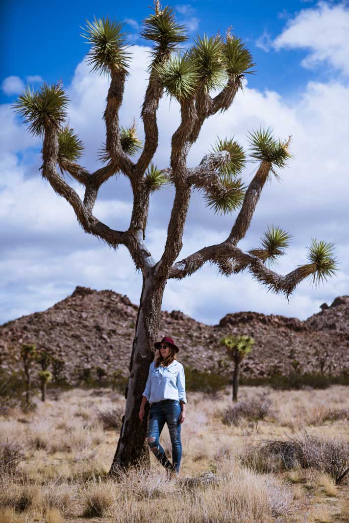 Megan standing by a tree at Joshua Tree National Park
