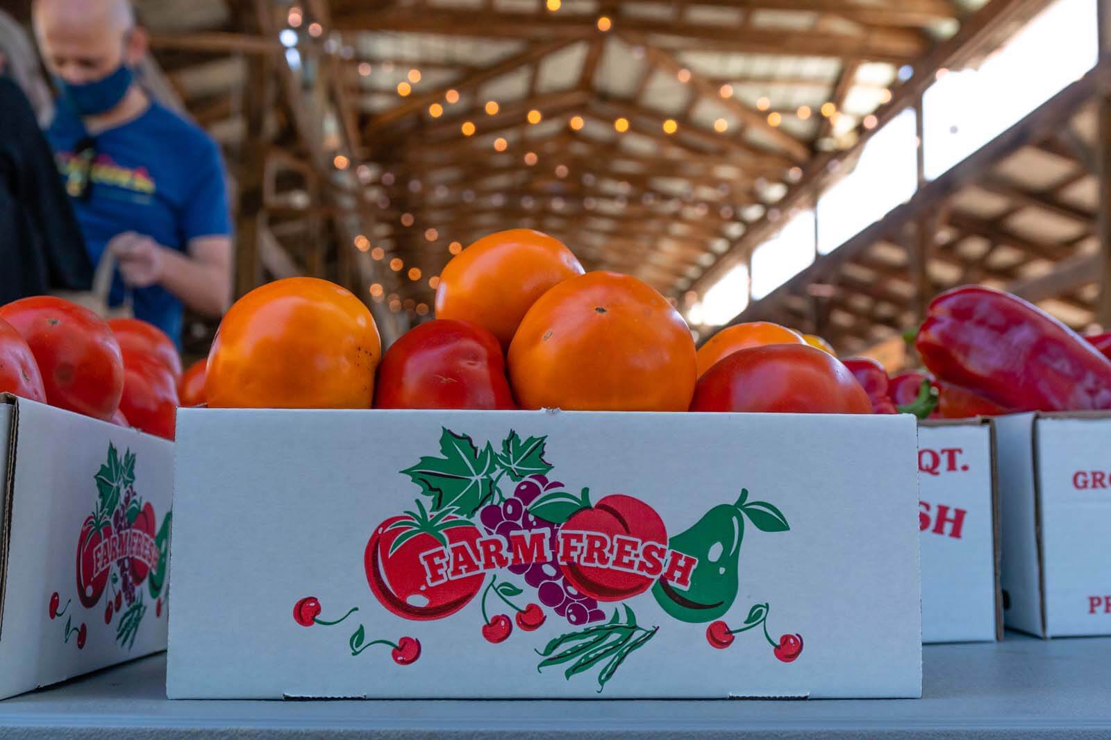 Ithaca Farmers Market in Ithaca NY