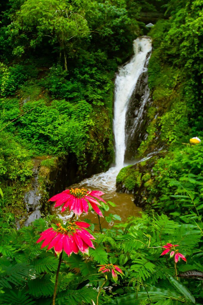 Gitgit Waterfall Bali