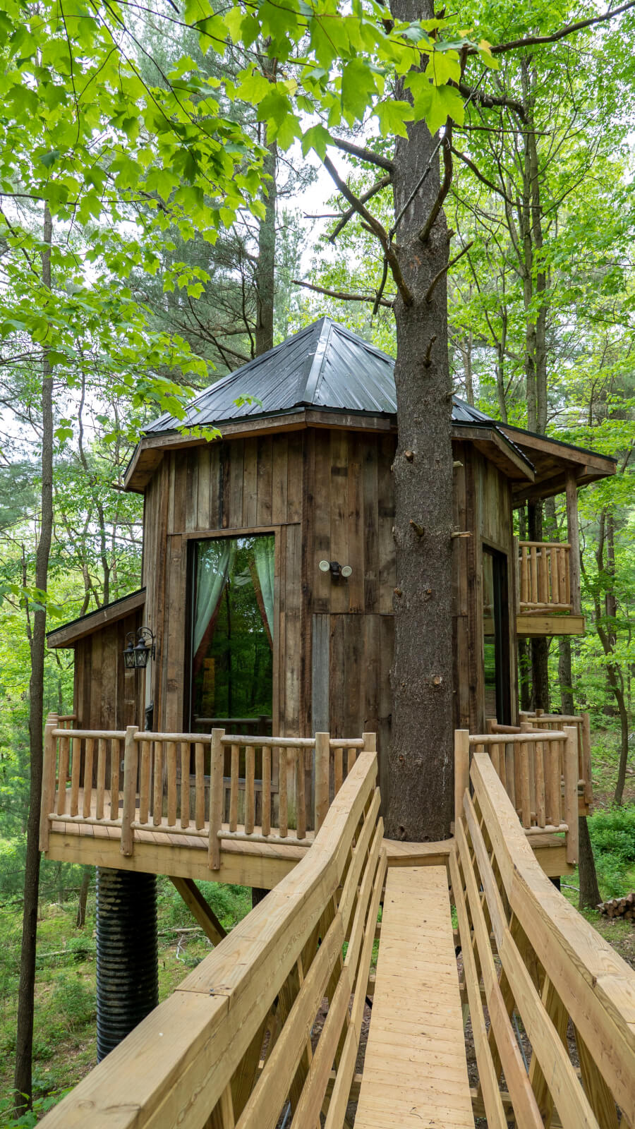 Baumhaushütten in den Mohikanern in Ohio