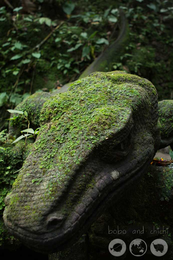 Sacred Monkey Forest in Ubud