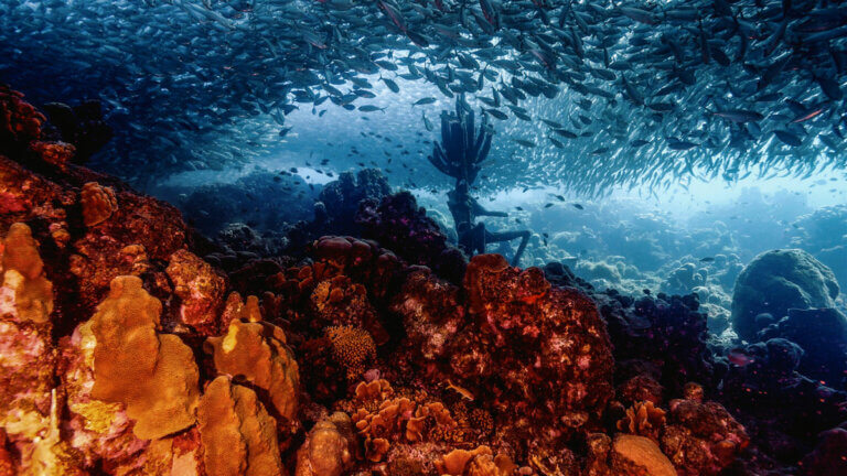 King-Neptune-sculpture-underwater-seen-by-snorkeling-or-diving-in-curacao-at-Playa-Grandi-or-Playa-piskado-beach