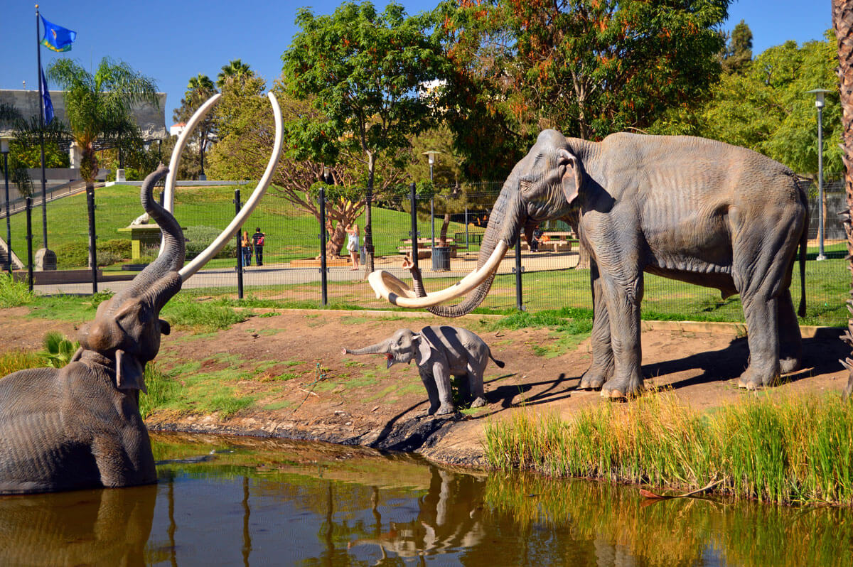 La-Brea-Tar-Pits-in-Los-Angeles-California