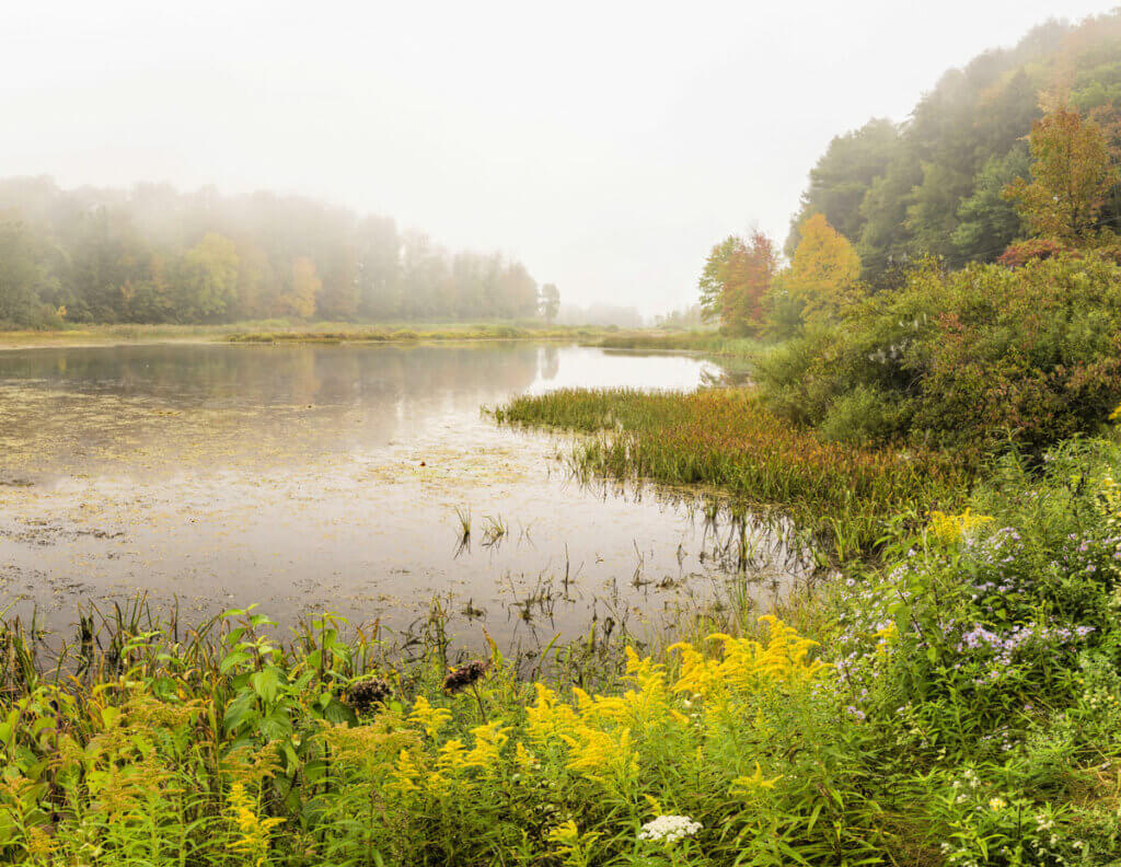 Lake-Wawaka-on-a-foggy-morning-in-the-Catskills-New-York