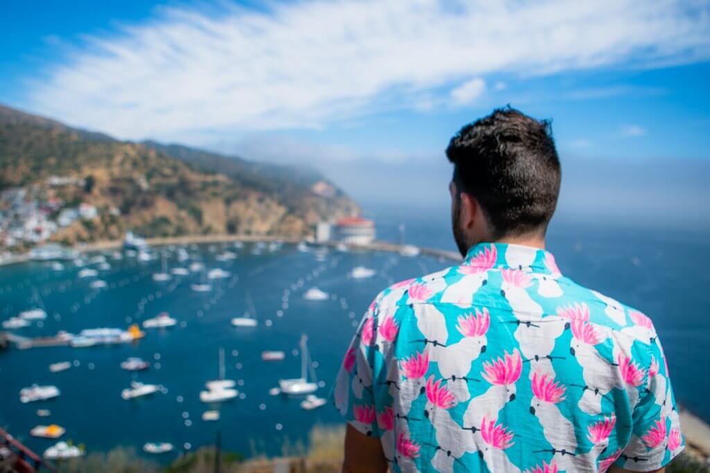 View of Catalina Harbor from the Buena Vista Scenic Overlook off Wrigley Drive in Avalon Catalina