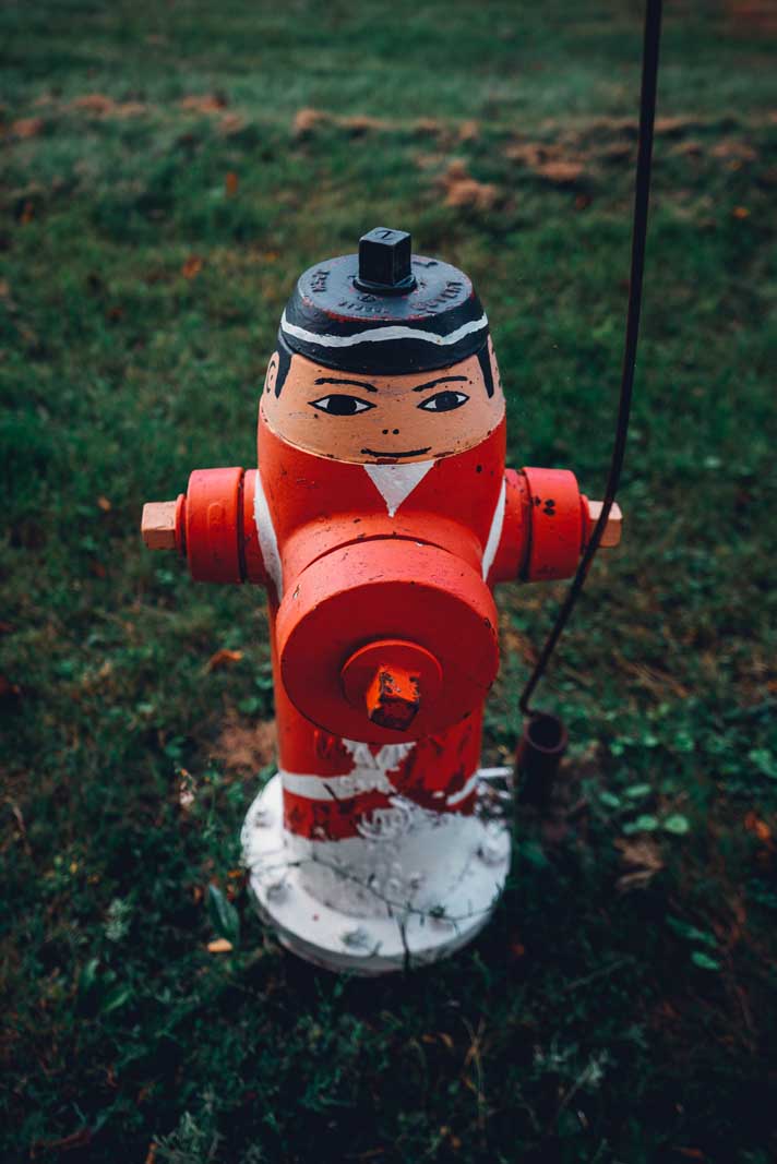 The painted fire hydrants in Liverpool Nova Scotia