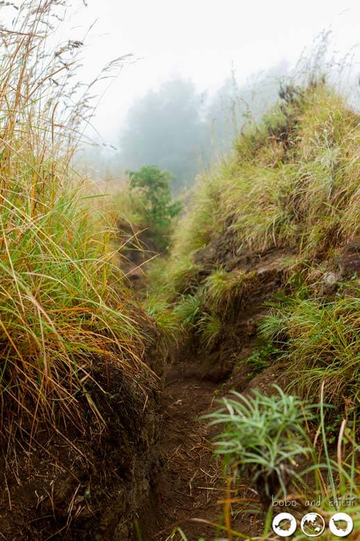 Mt Batur Volcano Hike