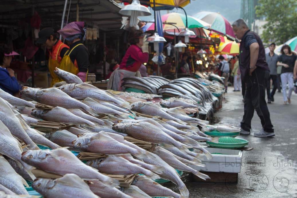 Busan Jalgachi Fish Market