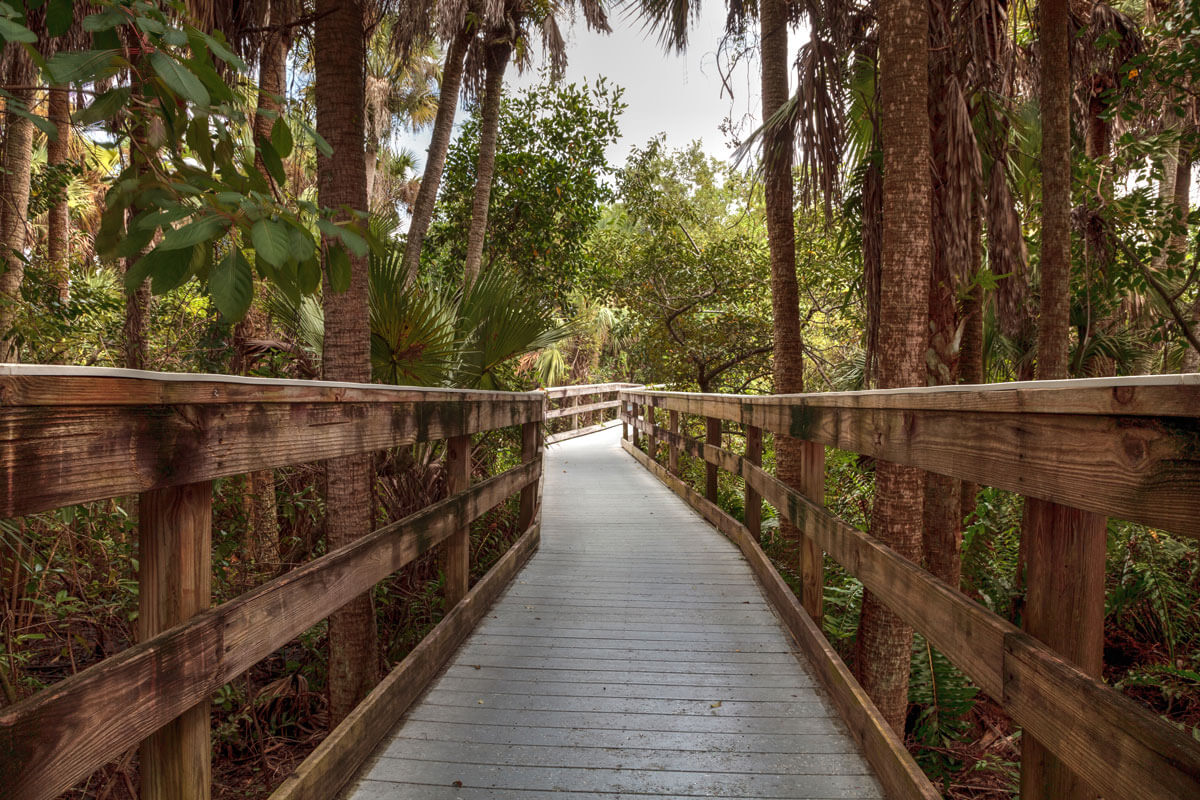 Manatee-Park-Boardwalk-in-Fort-Myers-Florida