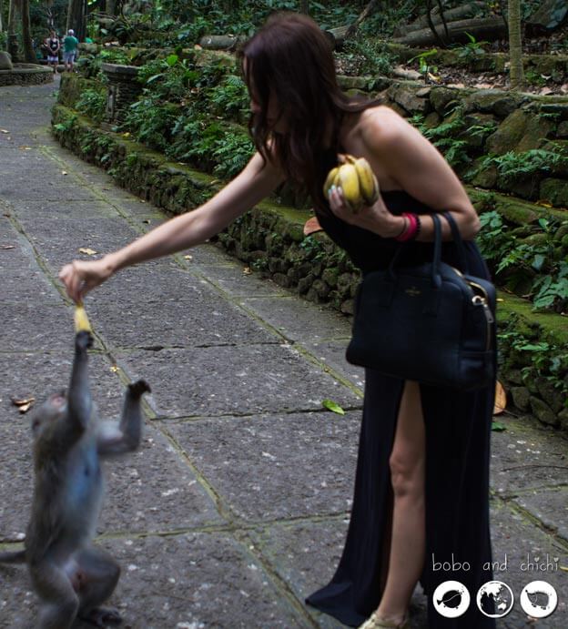 Sacred Monkey Forest in Ubud