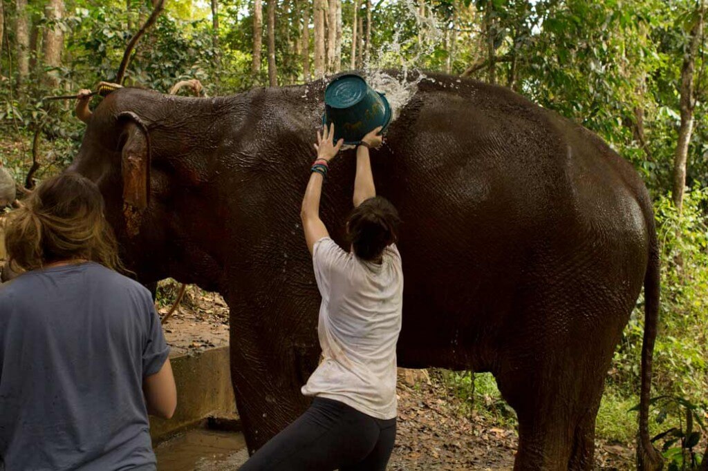 Megan-Splashing-Bucket-on-Elephant