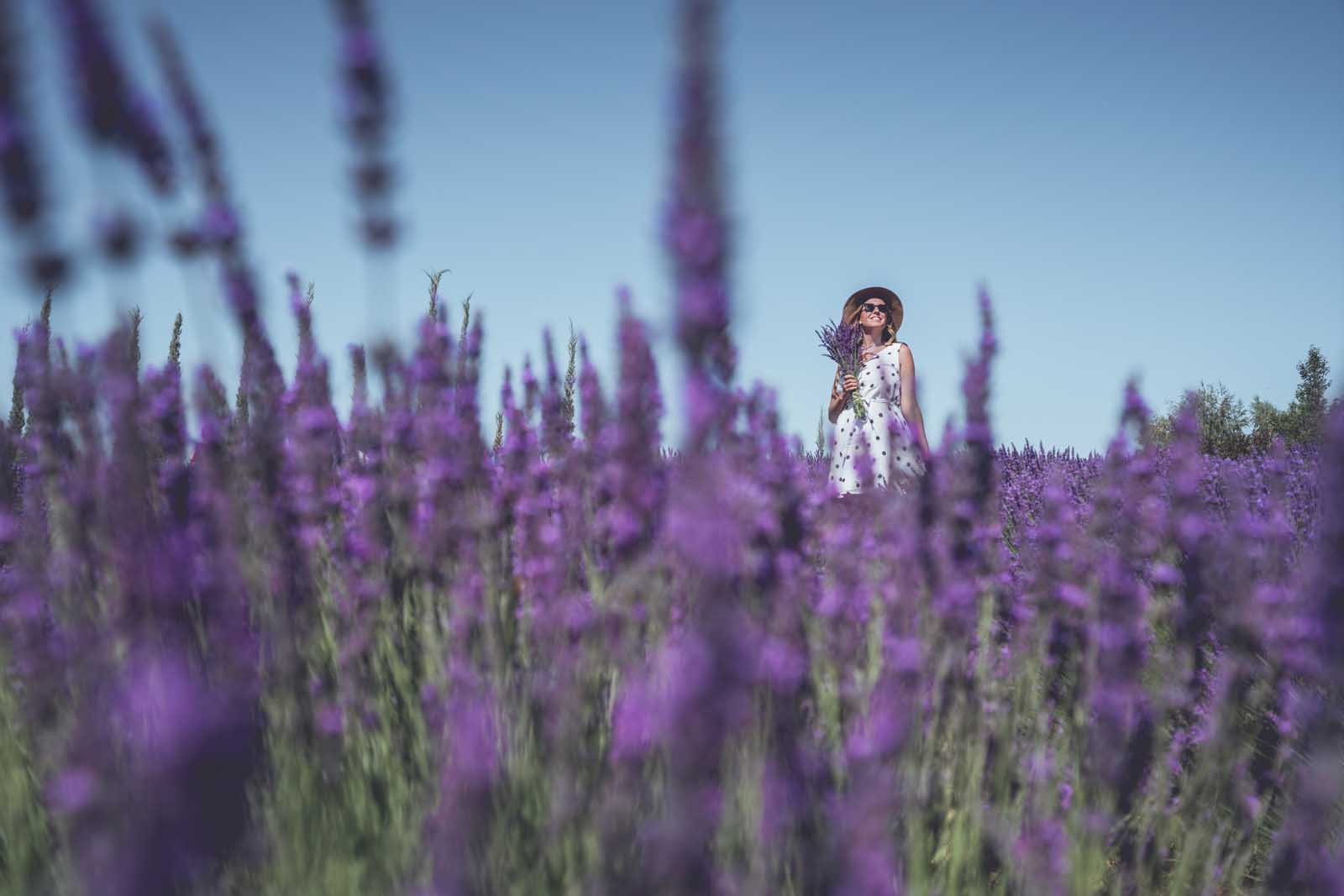 Megan at Selah Ridge Lavender Farm