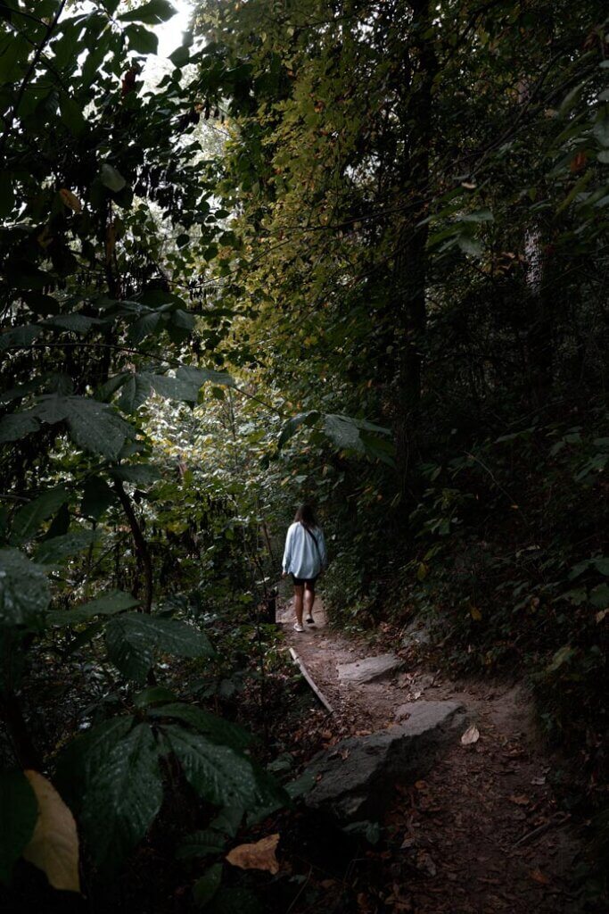 hiking along Riverbend Park in Fairfax County Virginia