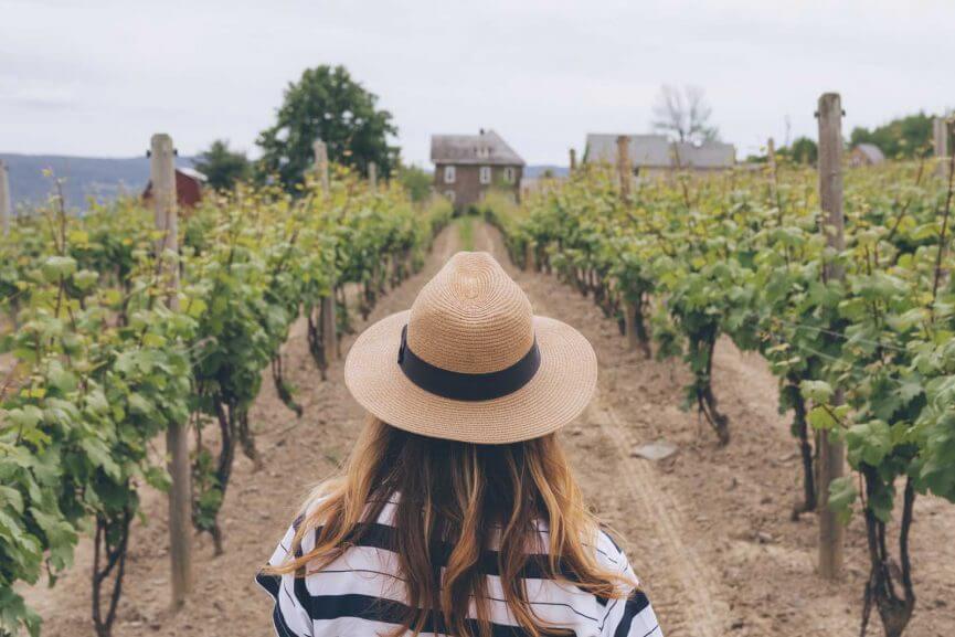 Megan looking at vineyards in the Finger Lakes