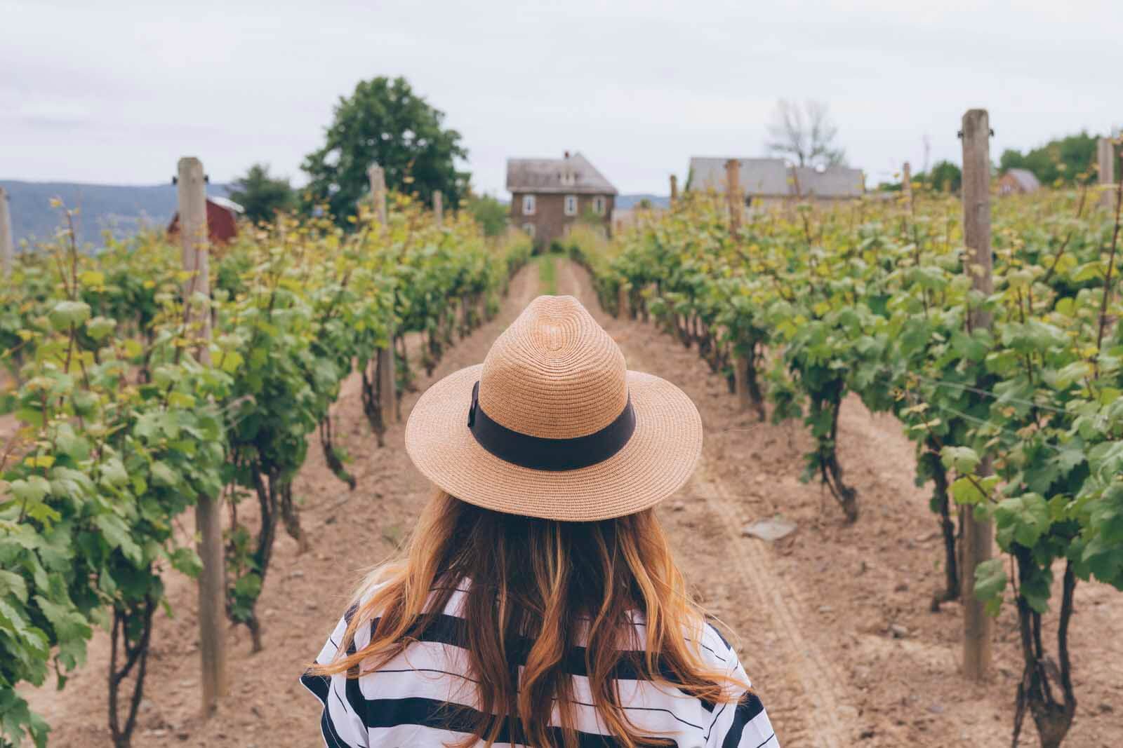 Megan looking at vineyards in the Finger Lakes