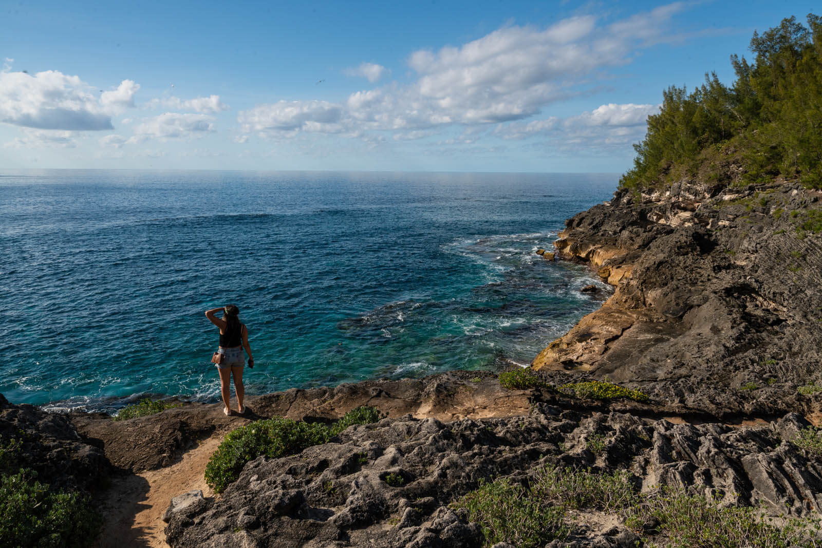 Megan looking off the coast in Bermuda at Spittal Pond Nature Reserve