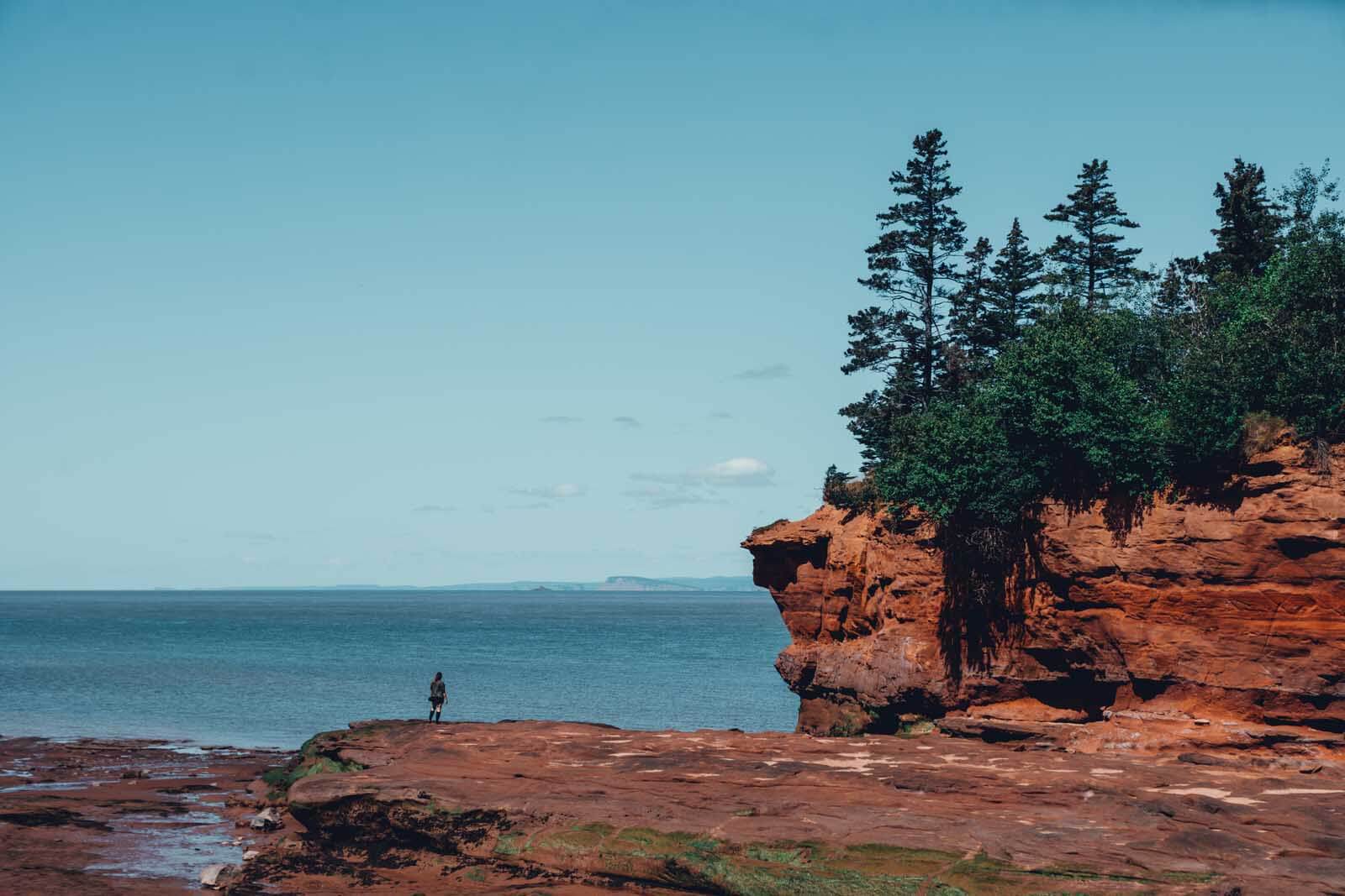 Megan standing on the rocks at Bay of Fundy at low tide