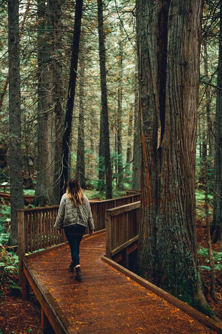 Megan walking along the Trial of the Cedars in Glacier National Park