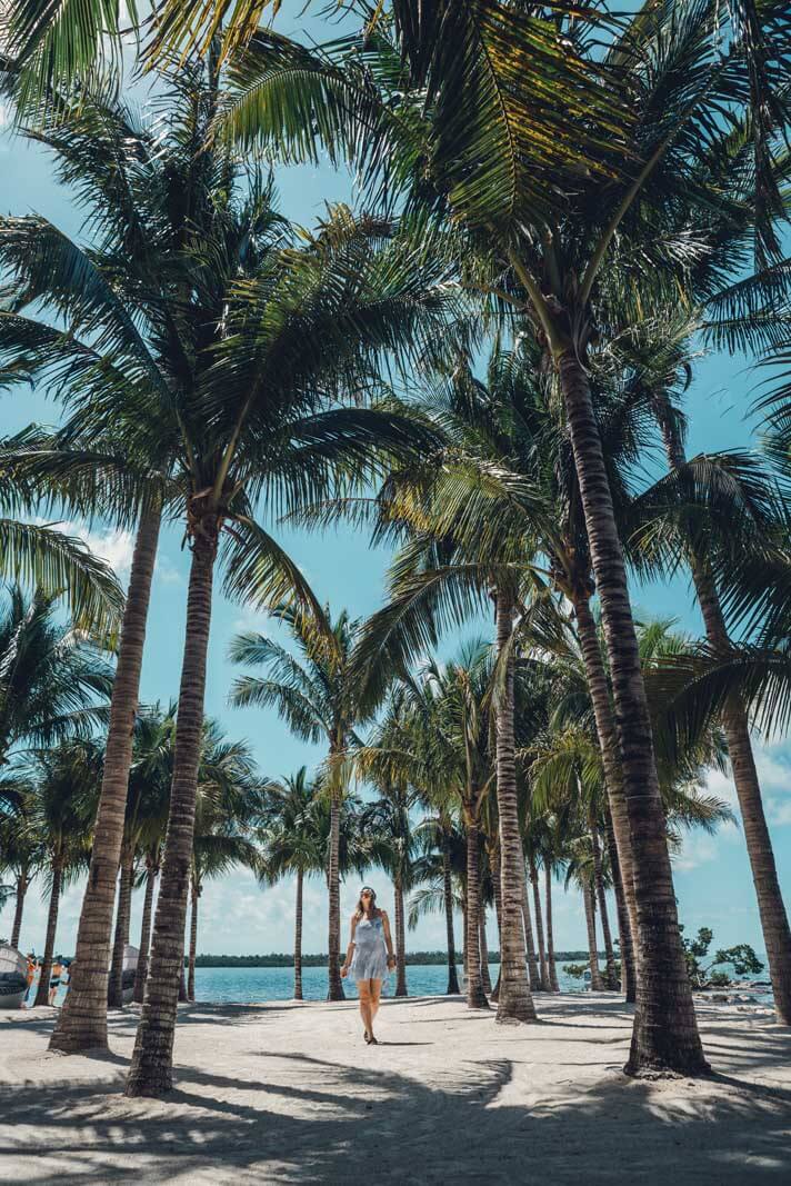 Megan walking through palm trees at Isla Bella Beach Resort in Marathon in the Florida Keys