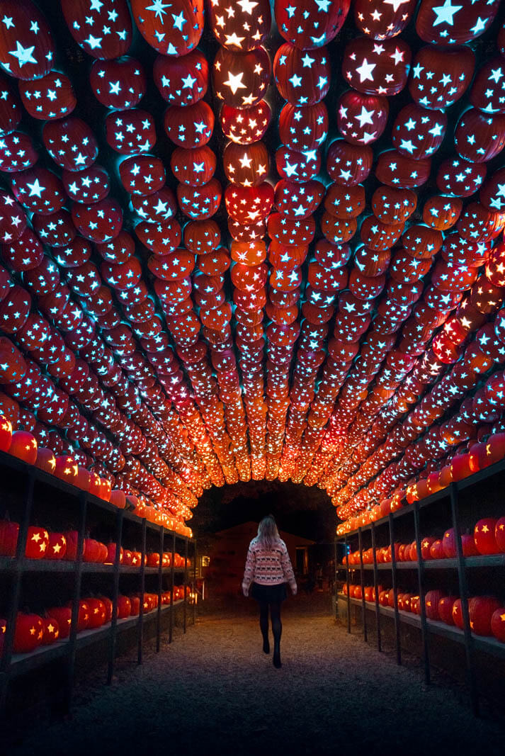 Megan walking through the Great Jack O Lantern Blaze near Sleepy Hollow New York in Croton-On-Hudson at Halloween time