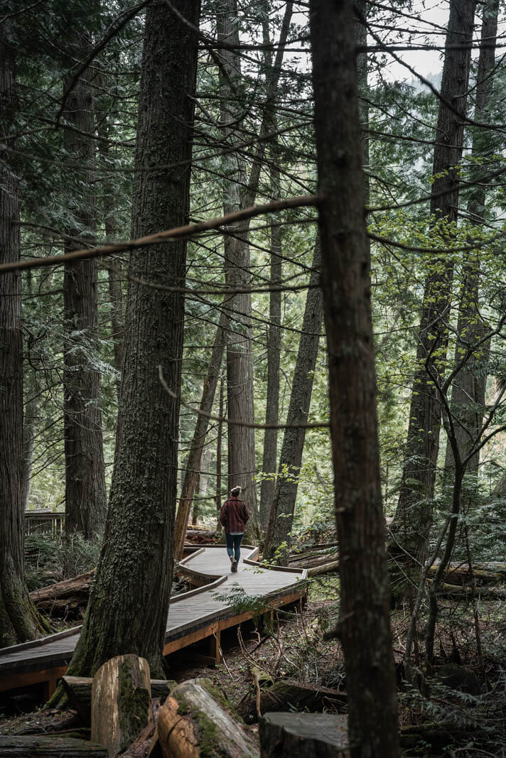 Megan walking through the Trail of the Cedars in Glacier National Park in Montana