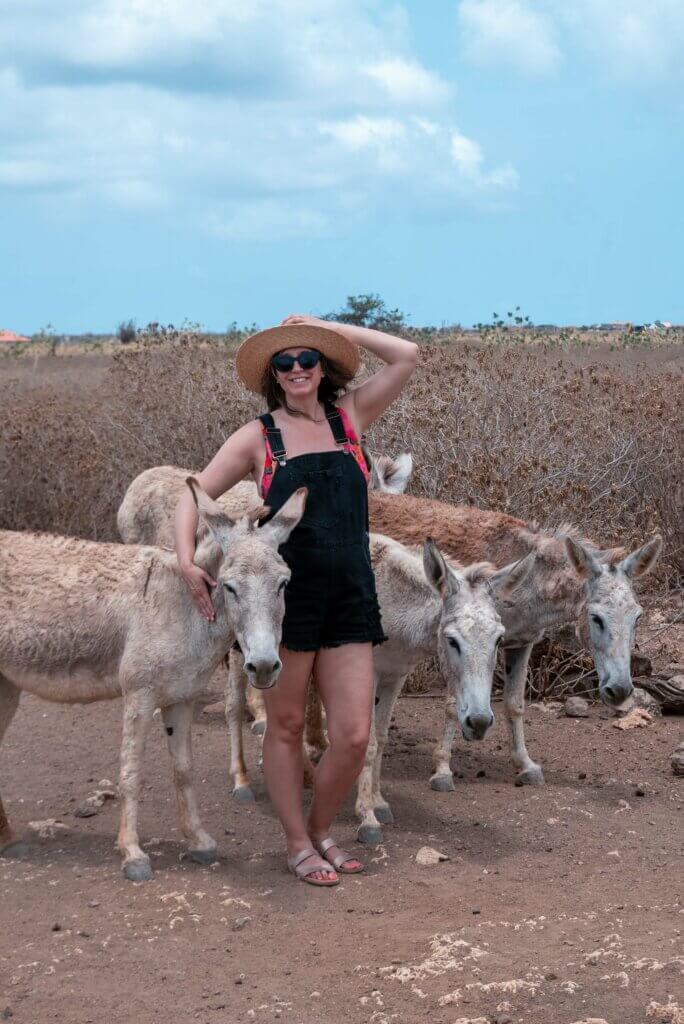 Megan with some donkeys at the Donkey Sanctuary in Bonaire