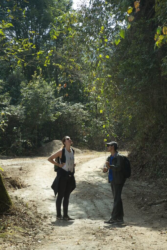 Kathmandu Valley Rim Trek