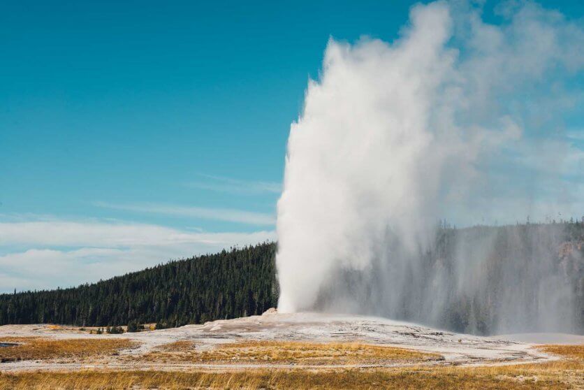 Old Faithful erupting in Yellowstone National PArk