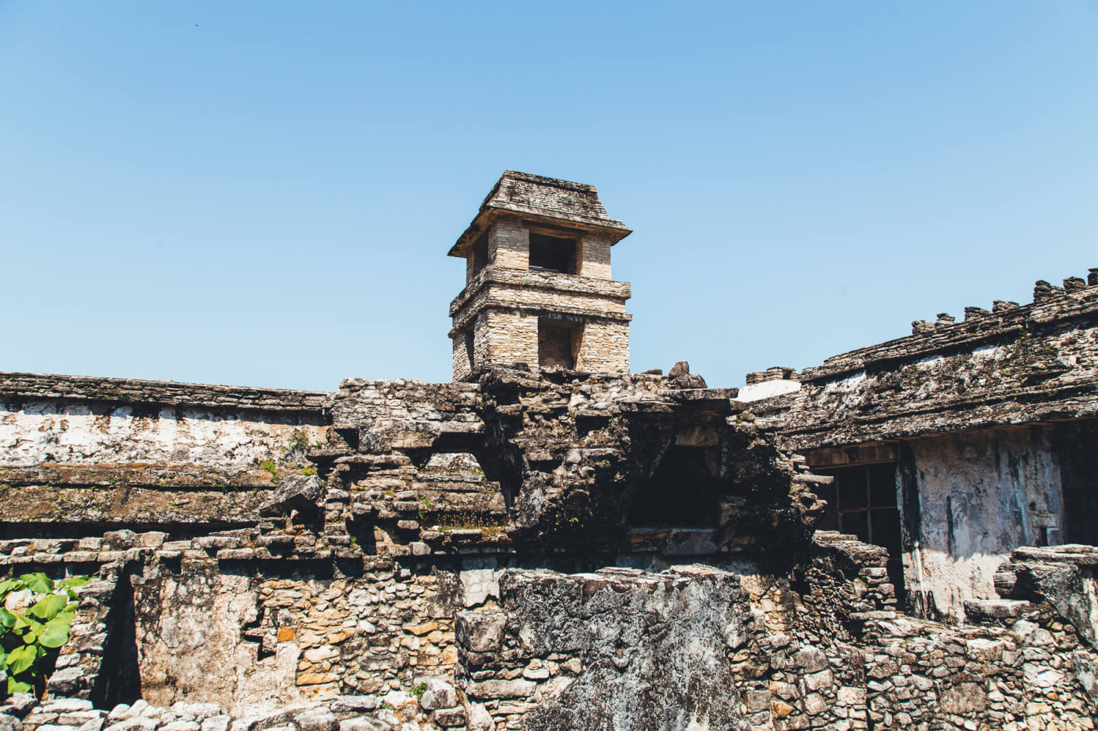 Palenque in Chiapas Mexico