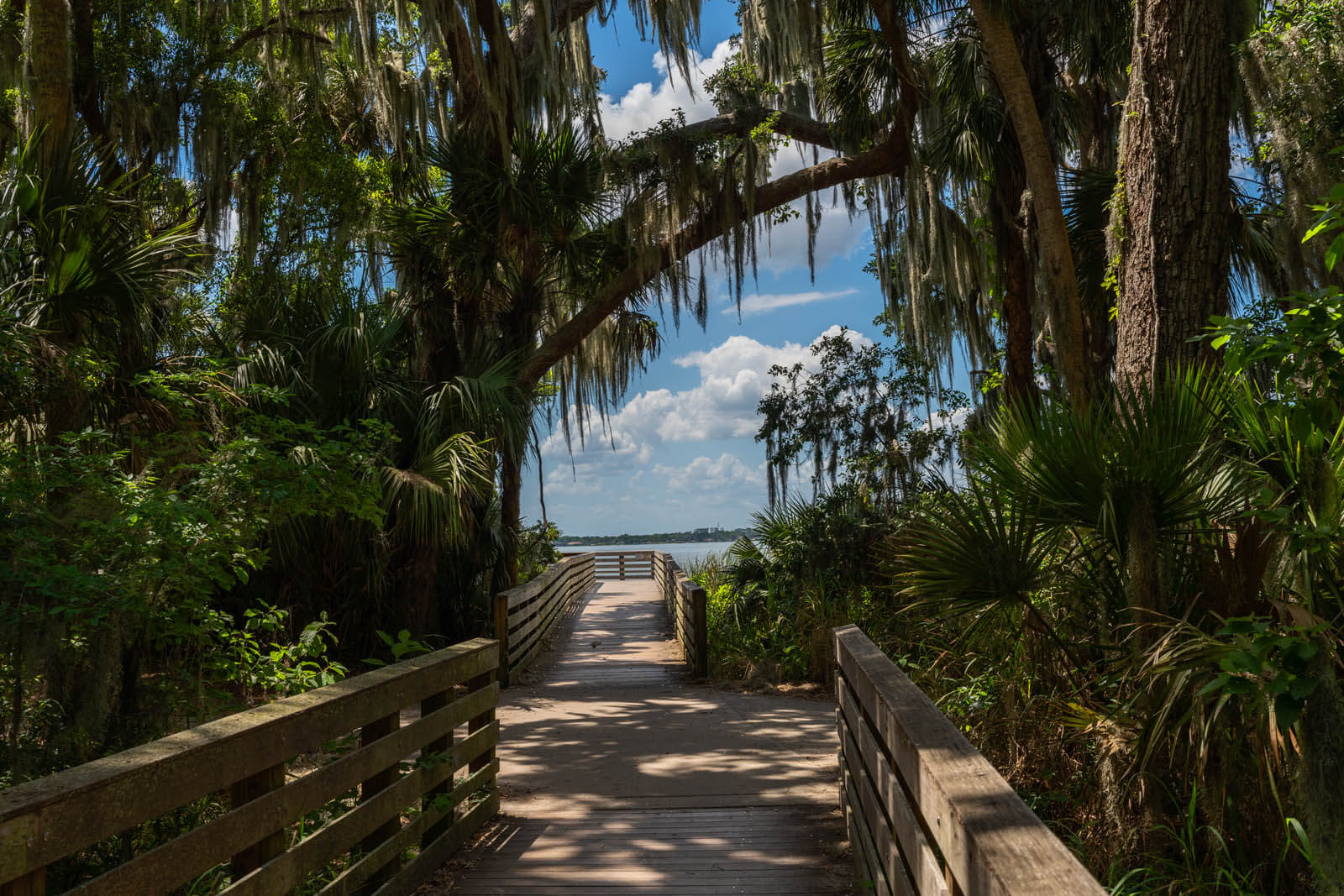 Palm Island Park in Mount Dora Florida