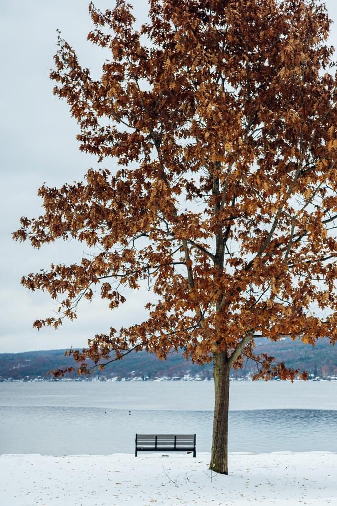 Park bench with a snowy fall view of Keuka Lake