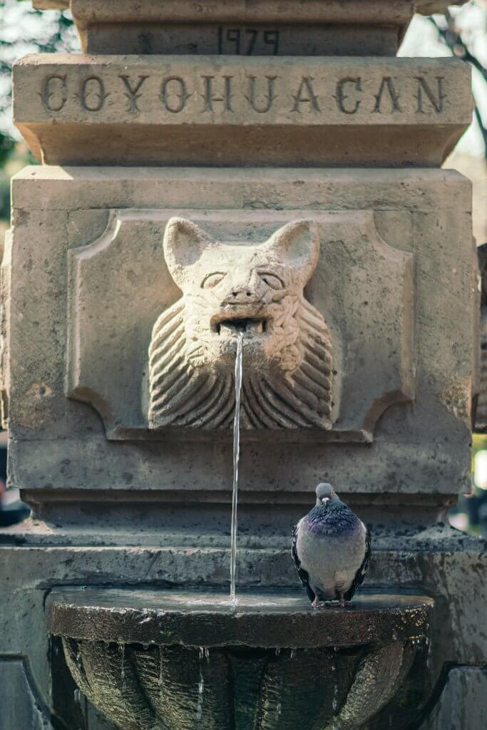 Fountain in Centro de Coyoacan Mexico City