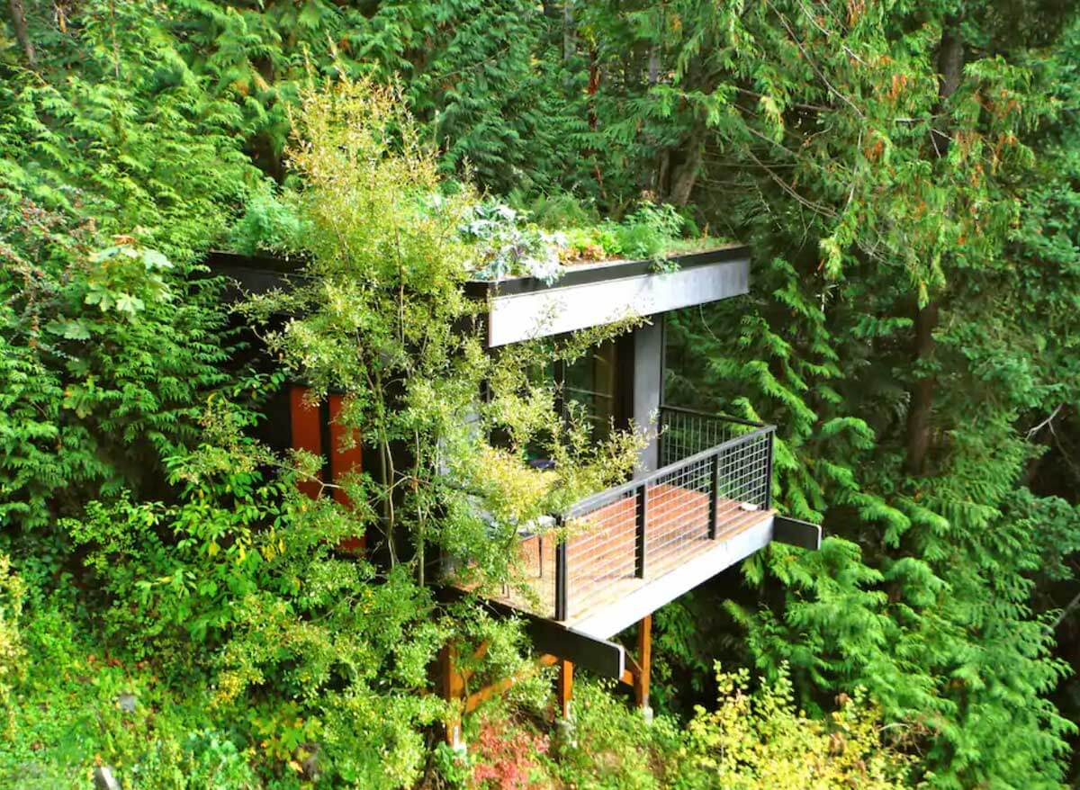 Pleasant-Bay-lookout-and-treehouse-in-washington-state