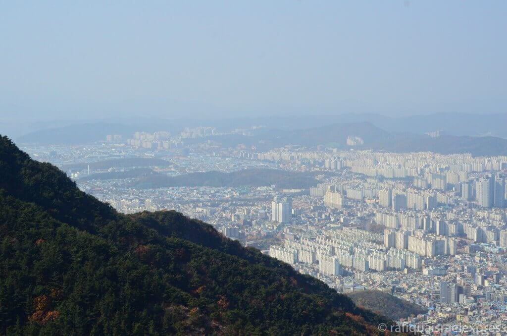 Daegu | best things to do in korea