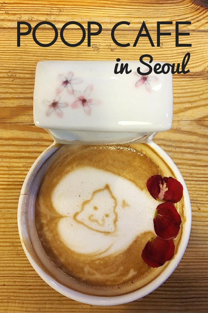 the MOST Adorable Raccoon  Cafe  in Seoul  Bobo and ChiChi