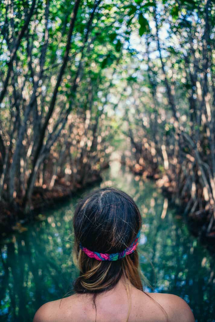 San Crisanto Mangroves tour