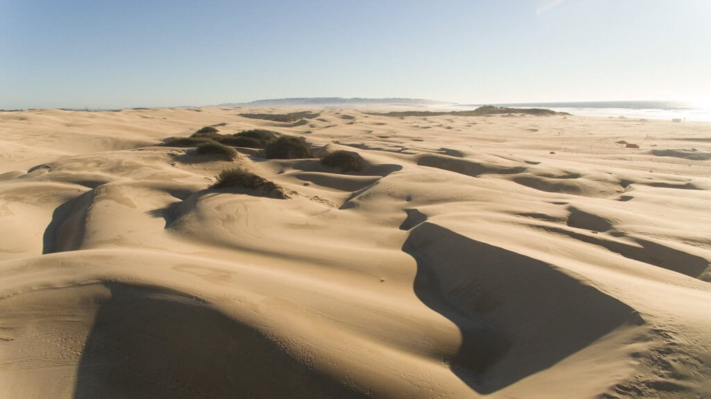 Sand Dunes Pismo Beach